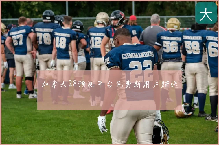 加拿大28预测平台免费新用户赠送